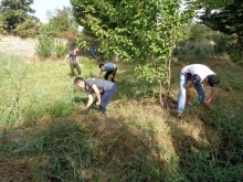 Шанбегӣ ба истиқболи Рӯзи Ваҳдати миллӣ