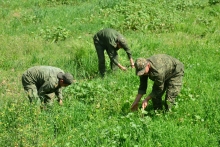 Пешвоз гирифтани ҷашни 35-солагии Истиқлолияти давлатӣ дар Академияи ВКД Ҷумҳурии Тоҷикистон